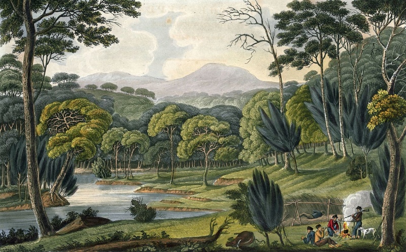 File:D218a154c3047b9c9c96875555e78beed013276515bc3767b11f4c079bca12b6.jpg