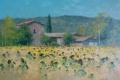 Tuscany-Sunflower-Farm.jpg